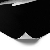 Poster La Lily de l'eau (Coin)