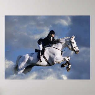 Poster La limite du ciel