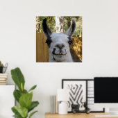 Poster La Llama (Bureau à domicile)