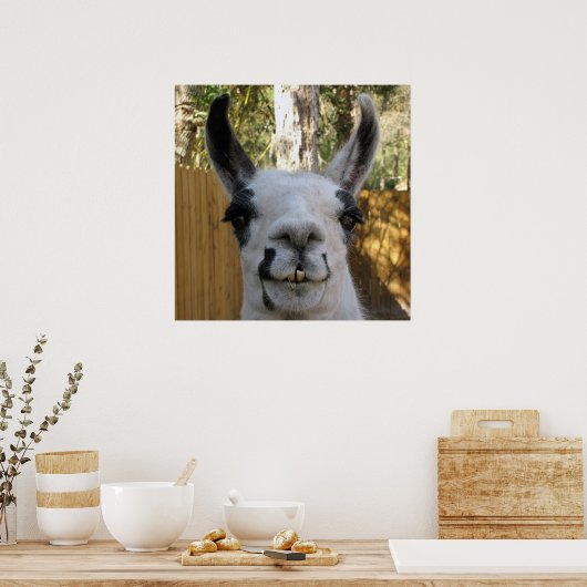 Poster La Llama (Cuisine)