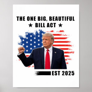 Poster La loi Big Beautiful Bill Trump 2025