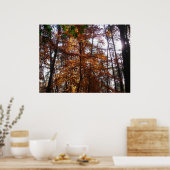 Poster La lumière du soleil dans l'arbre d'automne de la (Cuisine)