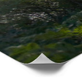 Poster La lumière du soleil traverse une forêt agitée (Coin)