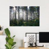 Poster La lumière du soleil traverse une forêt agitée (Bureau à domicile)