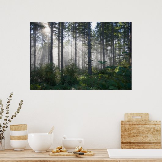 Poster La lumière du soleil traverse une forêt agitée (Cuisine)