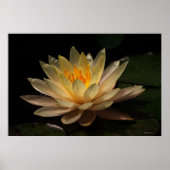 Poster La Luminosité (Devant)