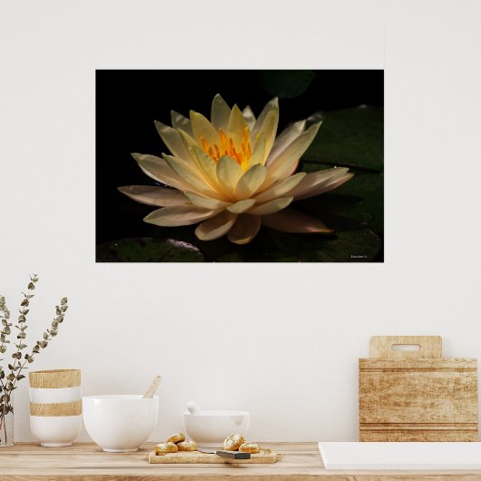 Poster La Luminosité (Cuisine)