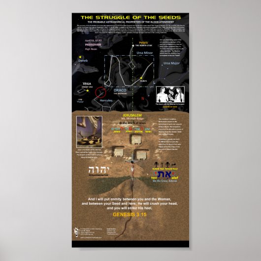 Poster La lutte des semences (Devant)