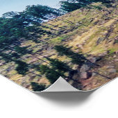 Poster La maison de l'ours (Coin)