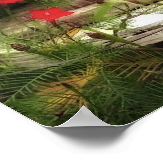 Poster La Maison des oiseaux (Coin)