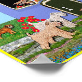 Poster : La maison est là où est la roue (Coin)