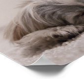 Poster La Maison Où Est Votre Tzu Chih (Coin)