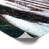 Poster La malheureuse mariée (Coin)