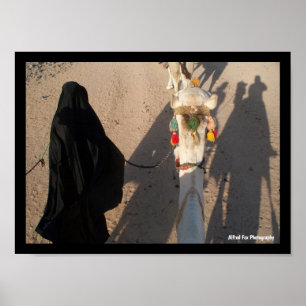 Poster La marche du chameau