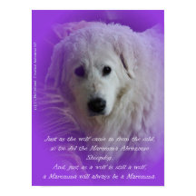 La Maremme et le loup