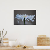 Poster La marguerite hippie et son sens (Cuisine)