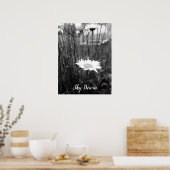 Poster la marguerite solitaire (Cuisine)