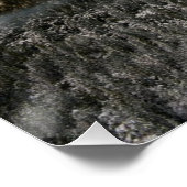 Poster La marque de l'hiver (Coin)