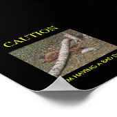 Poster La mauvaise journée du castor (Coin)