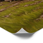 Poster LA MÊLÉE AU RUGBY (Le Rugby Scrum) (Coin)