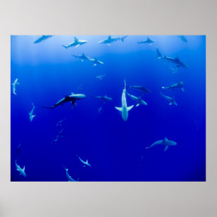 POSTER LA MER