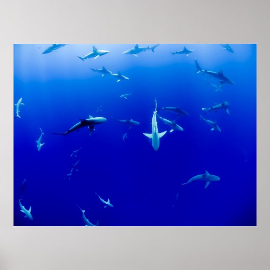 POSTER LA MER (Devant)