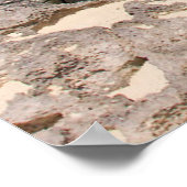 Poster La Mer Et La Jungle (Coin)