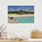 Poster La Mer Et La Jungle (Cuisine)