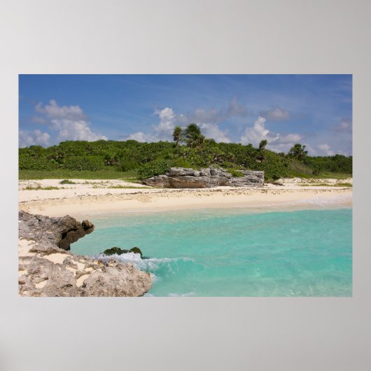 Poster La Mer Et La Jungle (Devant)