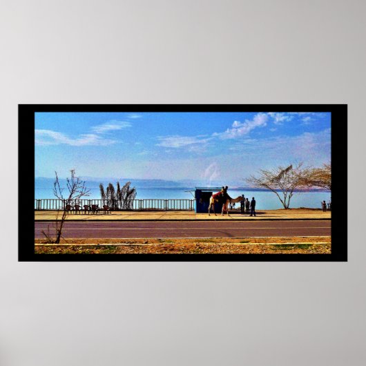 Poster La mer Morte (Devant)