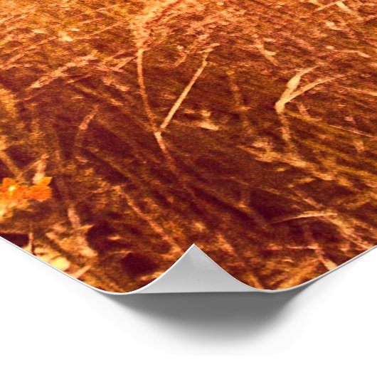 Poster La mesure d'une civilisation (Coin)