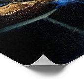 Poster La Milkmaid (Coin)