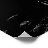 Poster La mite sur un crâne (Coin)