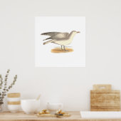 Poster La Mouette d'hiver (Larus argentatus) (Cuisine)