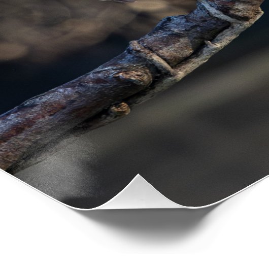 Poster la mouette (seagull) (Coin)