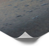 Poster La mouette sur la plage (Coin)