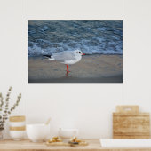 Poster La mouette sur la plage (Cuisine)