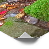 Poster La mousse dans les bois (Coin)