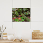 Poster La mousse dans les bois (Cuisine)