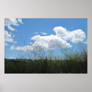 Poster : La moutarde dans les nuages