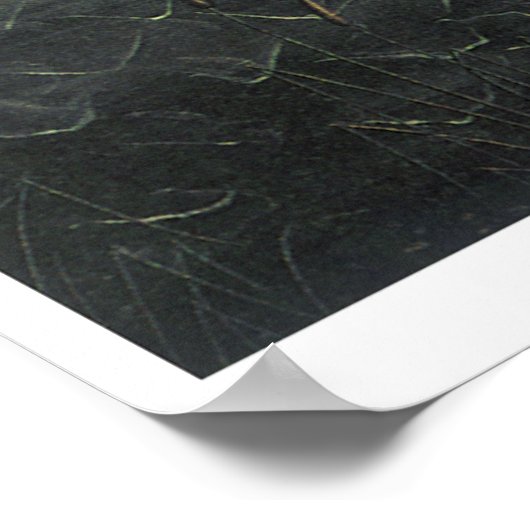 Poster La naissance de Vénus (Coin)