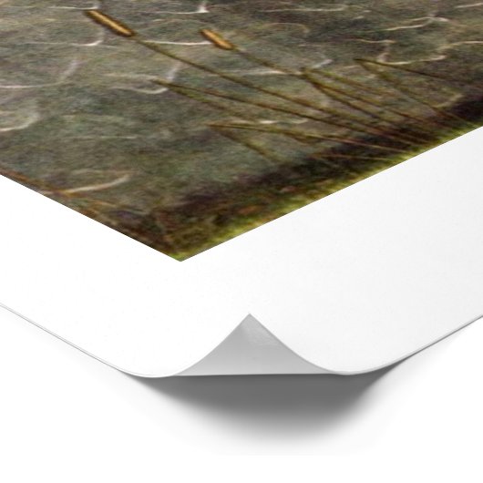 Poster La Naissance De Vénus. Par Sandro Botticelli (Coin)