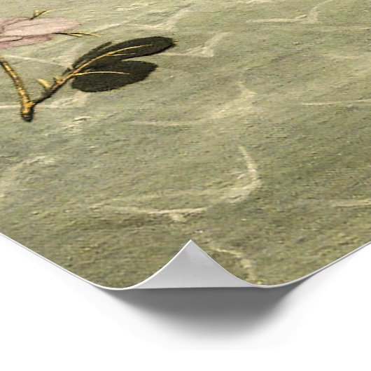 Poster La naissance de Vénus par Sandro Botticelli (Coin)