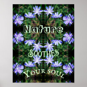 Poster La nature apaise la chicorée sauvage Inspirationne