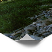 Poster La nature captivante (Coin)