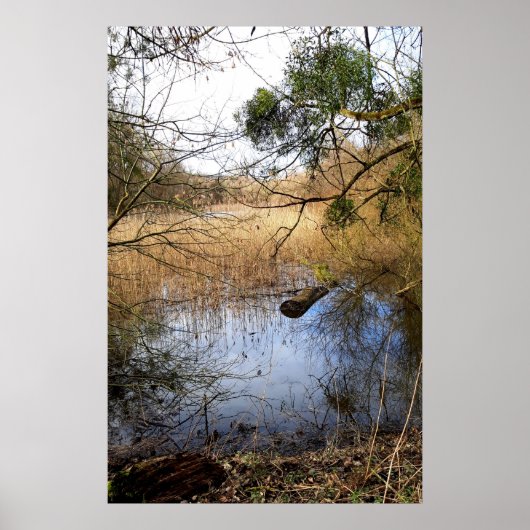 Poster La nature des Madowlands (Devant)
