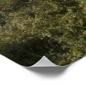 Poster La nature est parfois solitaire (Coin)