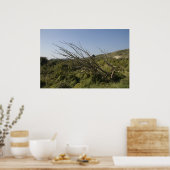 Poster La nature est parfois solitaire (Cuisine)