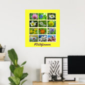 Poster La nature florale fleur sauvage (Bureau à domicile)