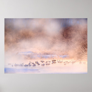 Poster La nature hivernale japonaise. La faune, la nature